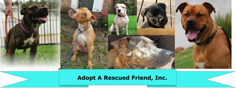 Adopt A Rescued Friend, Inc.